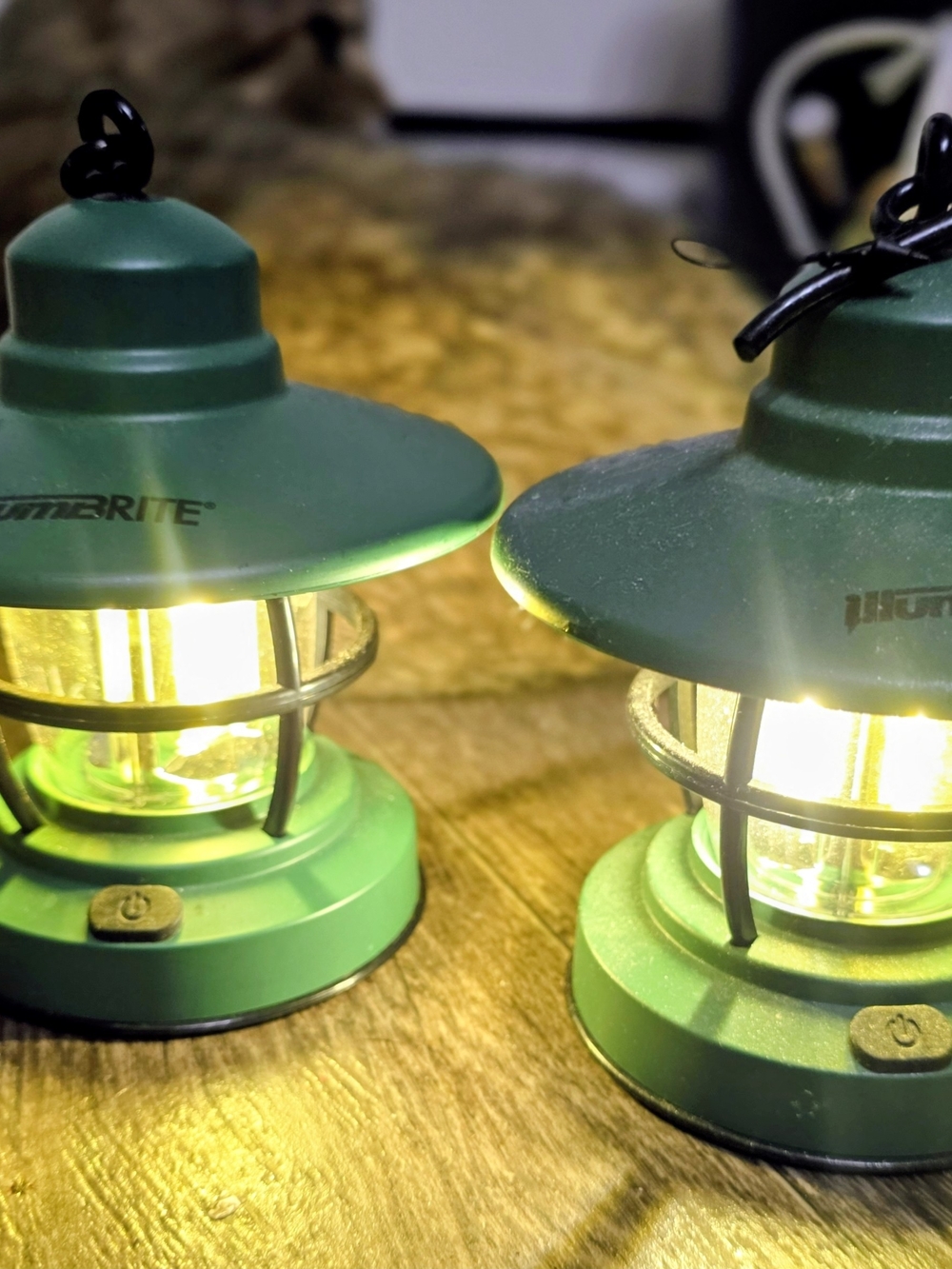 Litbrite Green Mini Lantern LED Accent Light - Pair
